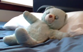 The Adventures of Bear Bear: Cassie